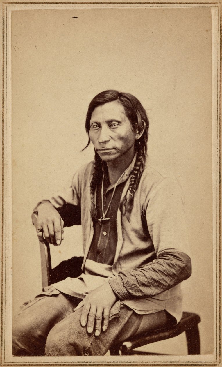 1860年代、グレー・ウルフ（写真） 作： ウィリアム・ガニソン・チェンバレン