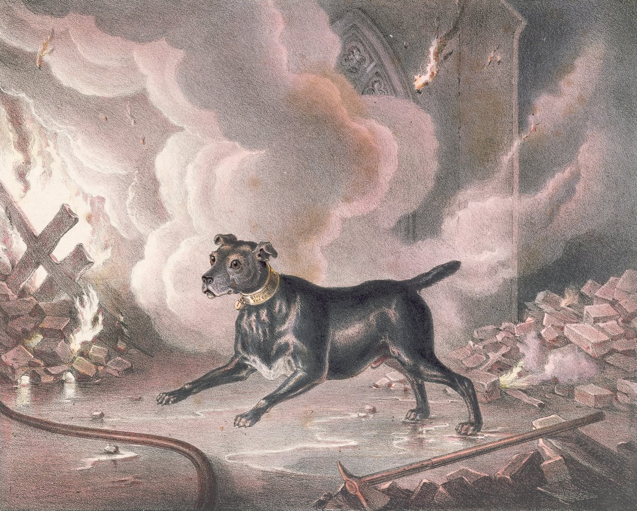 ロンドン消防士の犬 作： ウィリアム・ヒース