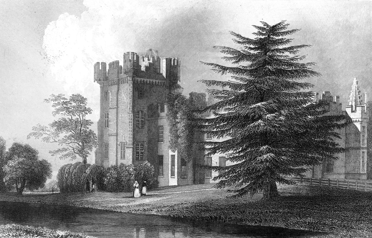 1832年ヘンリーウォリスによって彫刻されたエセックス、ウィサムの近くのフォークボーンホール 作： ウィリアム・ヘンリー・バートレット