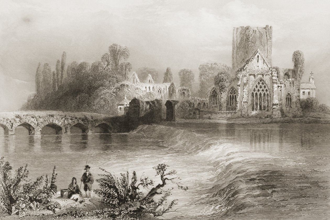 1860年代のジョージ・バーチューによる「アイルランドの風景と古代」からのアイルランド、ティペラリー州ホリクロス修道院 作： ウィリアム・ヘンリー・バートレット