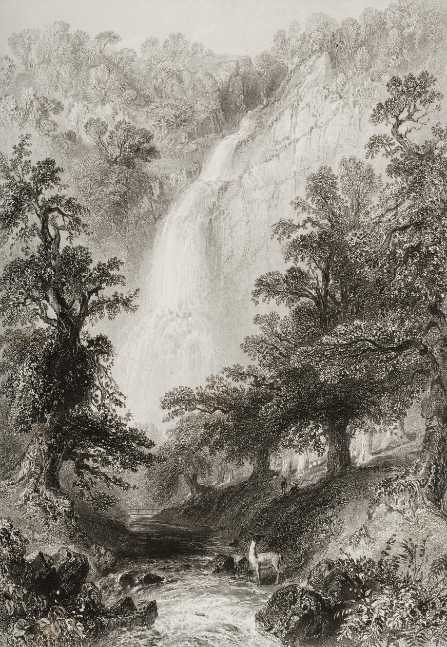 1860年代のジョージ・バーチューによる「アイルランドの風景と古代」からの滝、パワーズコート、ウィックロー州、アイルランド 作： ウィリアム・ヘンリー・バートレット