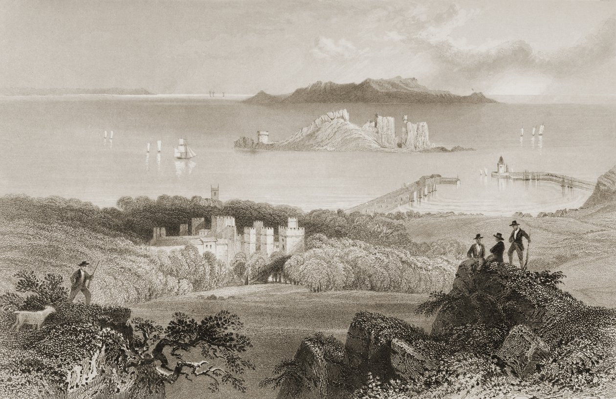 1860年代のジョージ・バーチューによる「アイルランドの風景と古代」からのアイルランド、ダブリン州のハウス城の眺め 作： ウィリアム・ヘンリー・バートレット