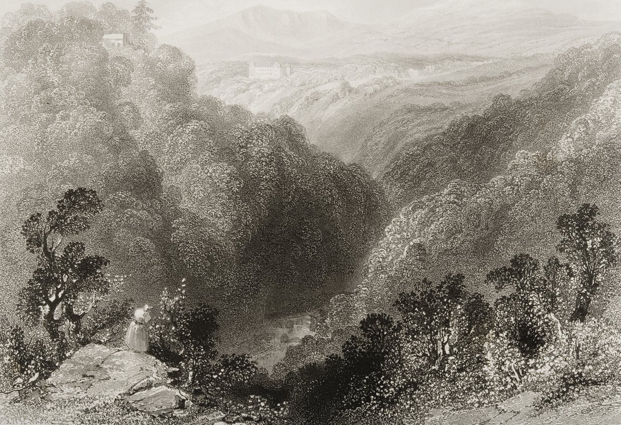1860年代のジョージ・バーチューによる「アイルランドの風景と古代」からのウィックロー州ダーグルからのパワーズコートの眺め 作： ウィリアム・ヘンリー・バートレット