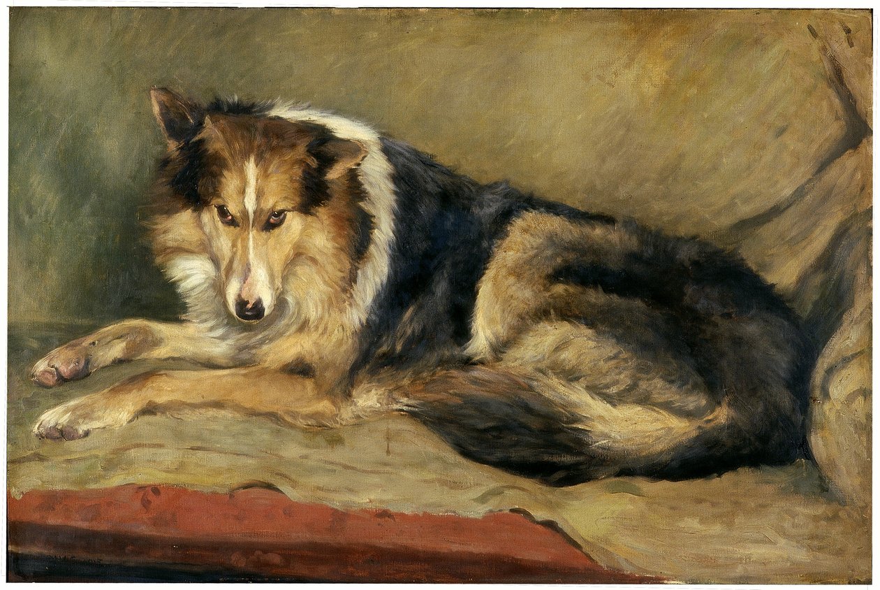コリー犬 作： ウィリアム・ヘンリー・チャールトン