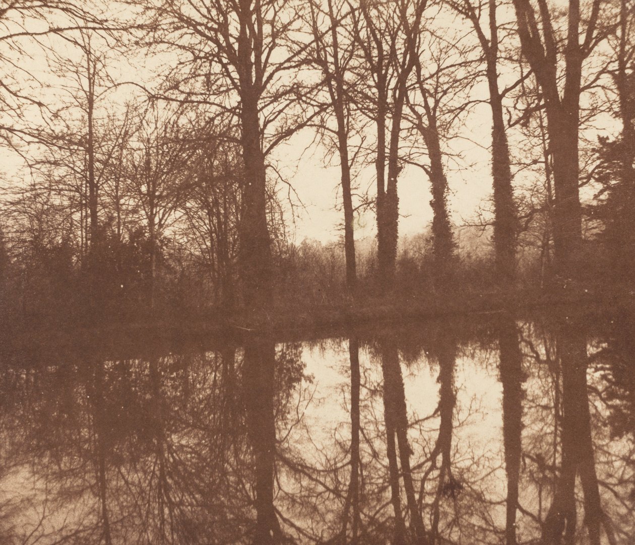 池に映る冬の木々、1841-1842年（写真） 作： ウィリアム・ヘンリー・フォックス・タルボット