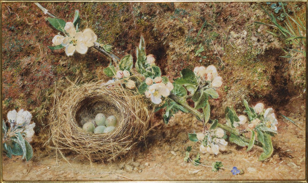 鳥の巣と花 作： ウィリアム・ヘンリー・ハント