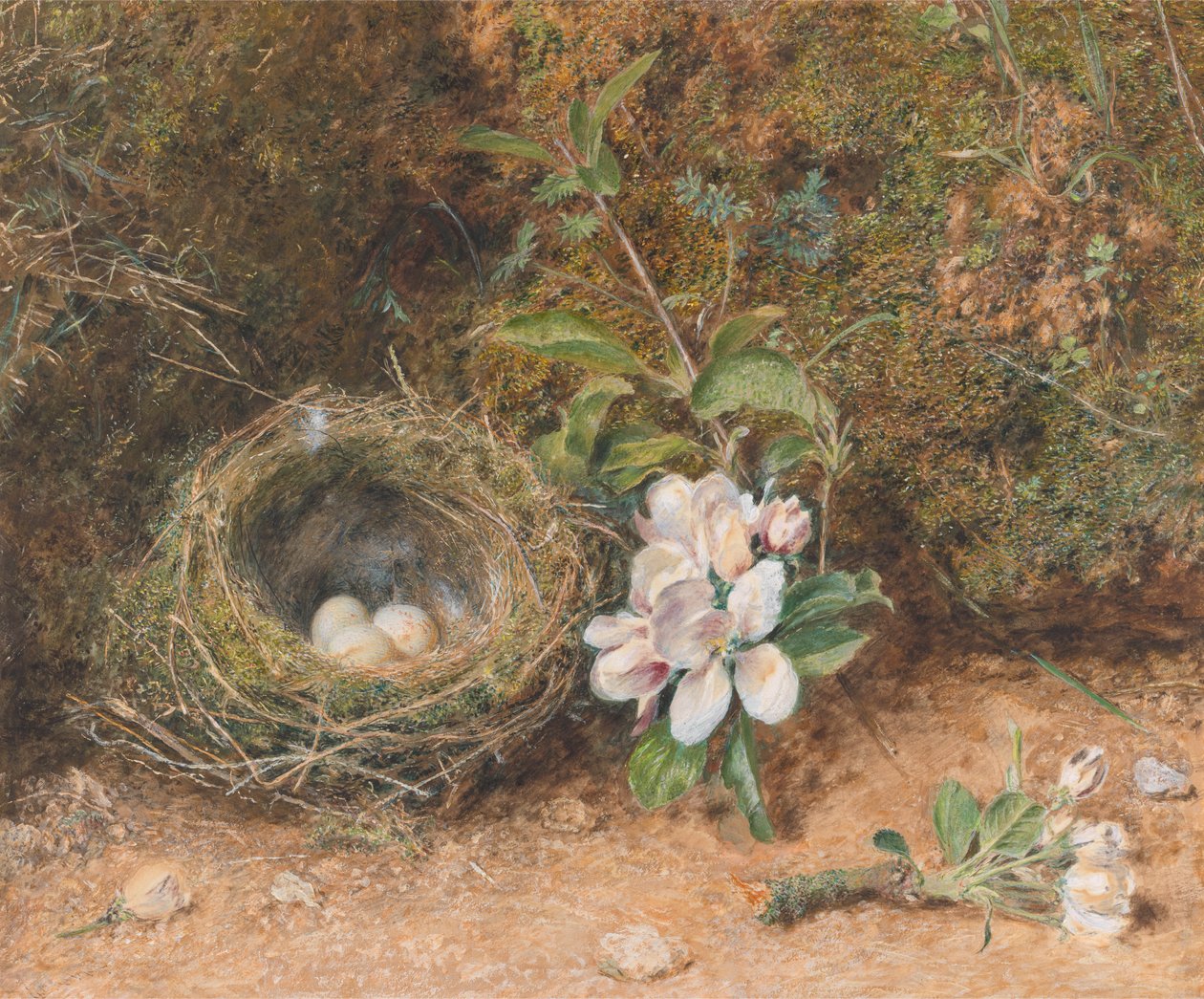 鳥の巣とりんごの花のしぶき 作： ウィリアム・ヘンリー・ハント
