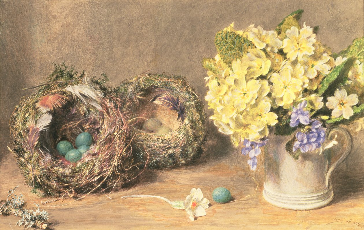 春の花と鳥の巣 1830年頃 （紙に水彩、ボディーカラー） 作： ウィリアム・ヘンリー・ハント