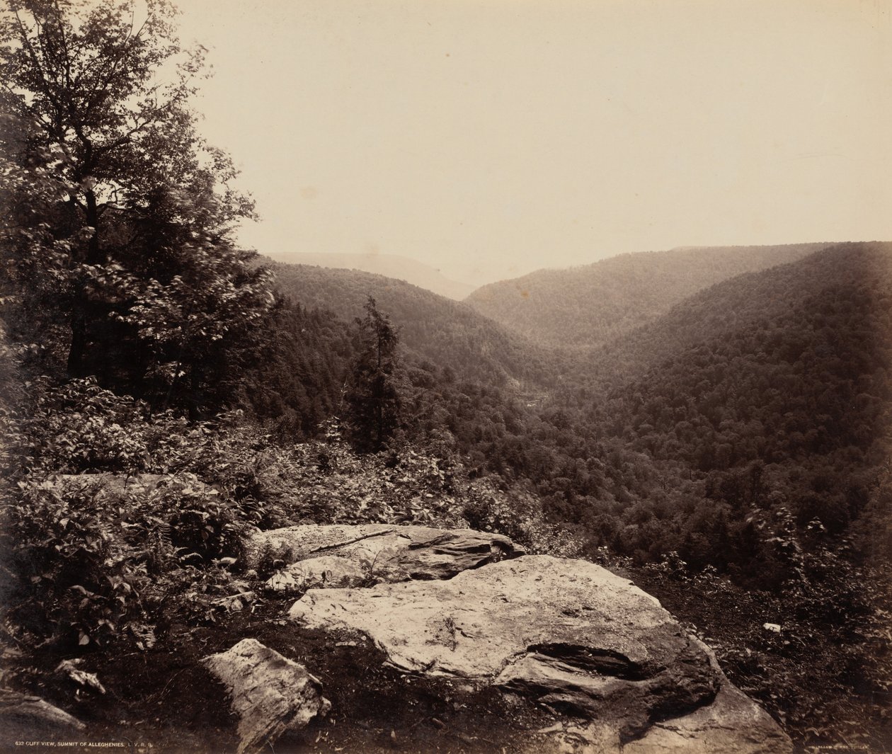 崖の眺め、アレヘニー山頂、1895年頃。1895年（写真） 作： ウィリアム・ハーマン・ラウ