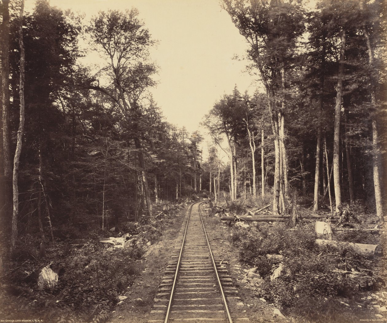 ガノガ・レイク・ブランチ、1895年頃（写真） 作： ウィリアム・ハーマン・ラウ