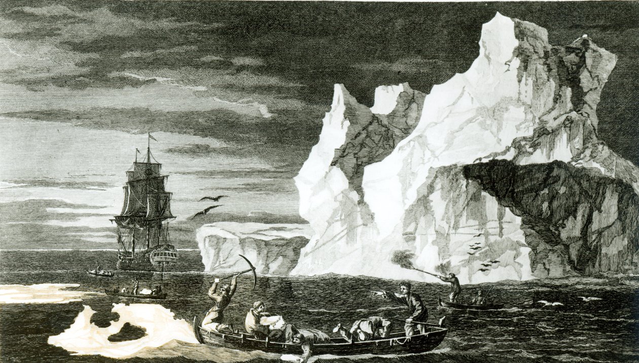 1777年2月31日、BTプーニーによって刻まれた1773年1月9日の氷島 作： ウィリアムホッジス