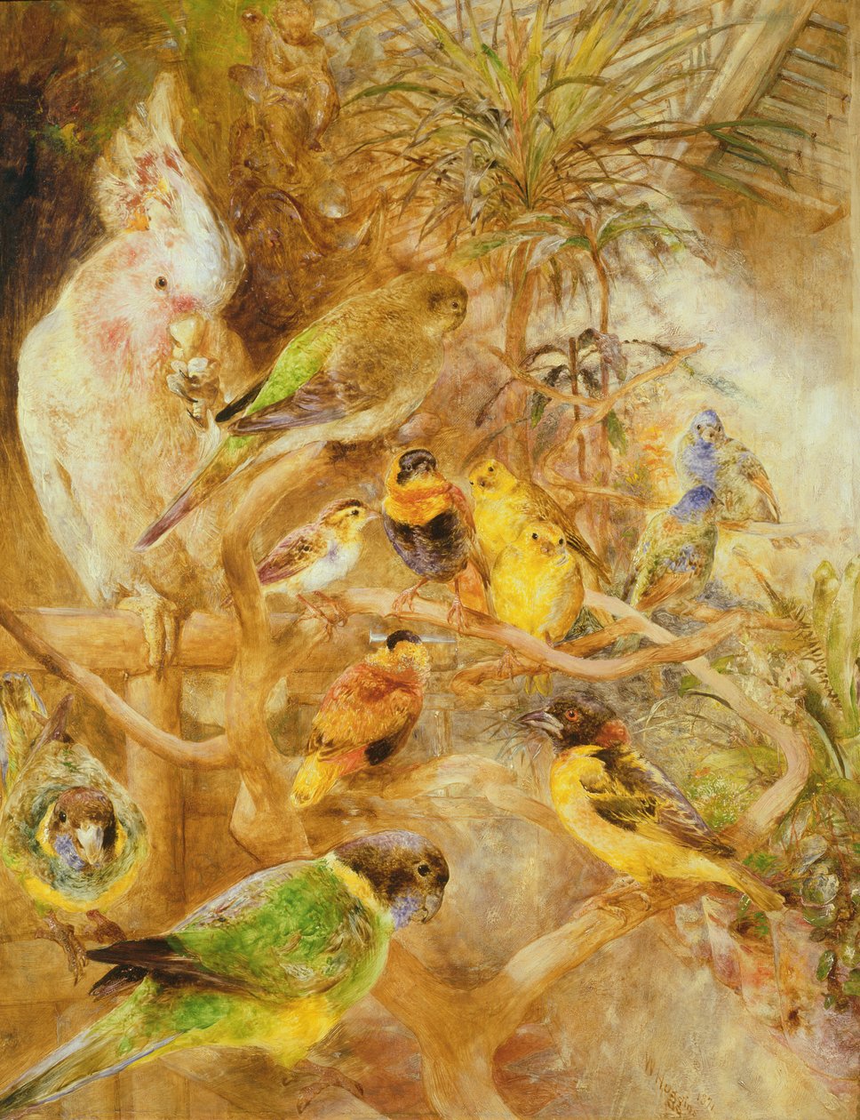 鳥小鳥園、1871 作： ウィリアム・ハギンズ