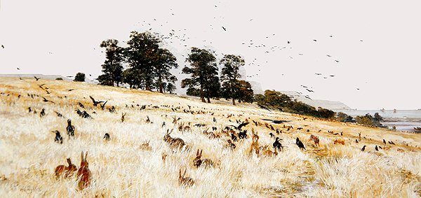 A Rookery, c.1889 （油彩・キャンバス） 作： ウィリアムライオネルワイリー