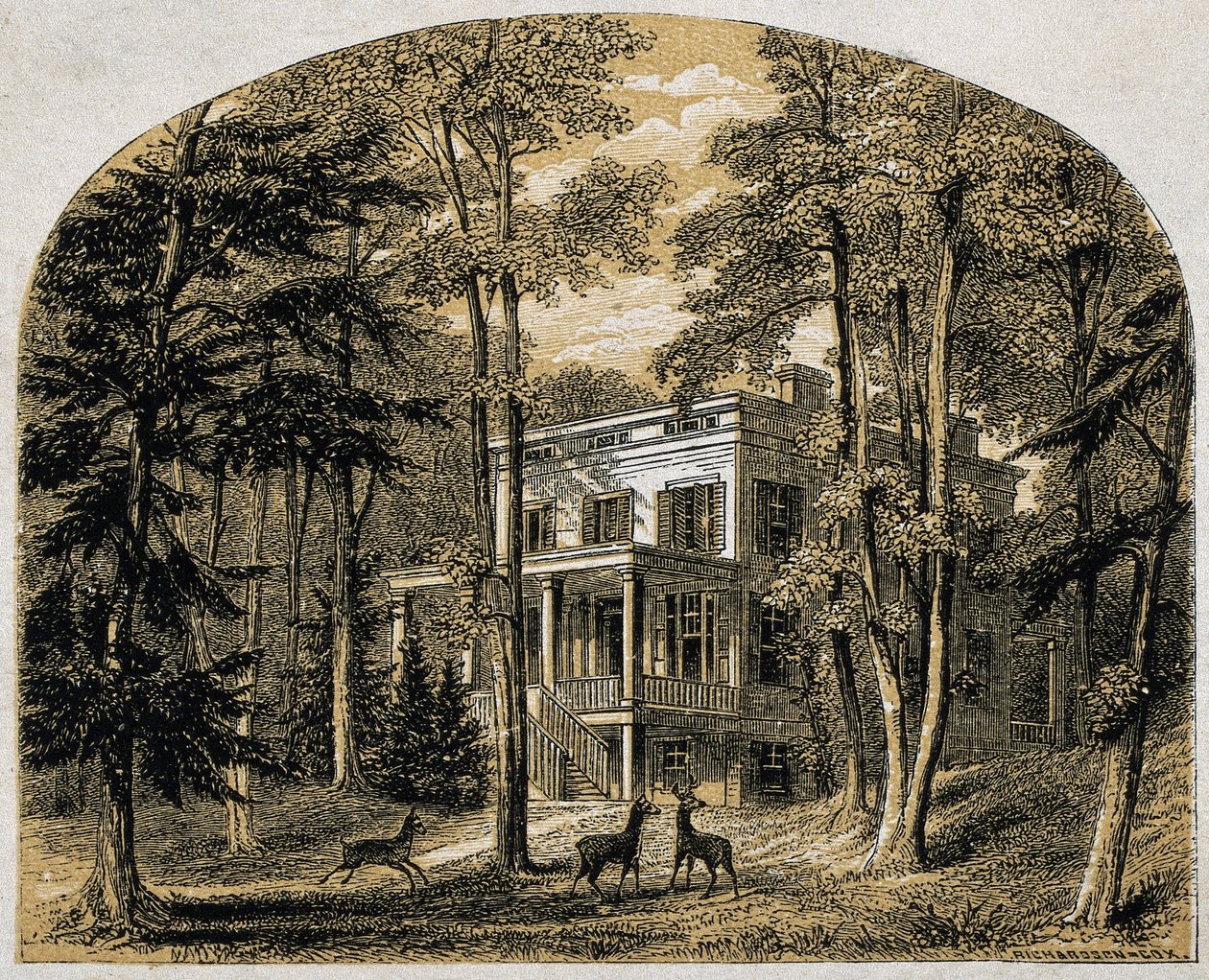 ジェームズ・ジョン・オーデュボンの家 "Mniesland" , pub.C 1861 (木版画) 作： ウィリアム・リッカービー・ミラー