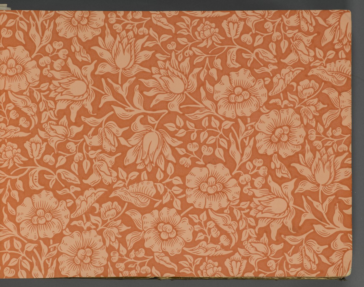 壁紙見本帳、1917年以前（プリント 作： ウィリアムアンドカンパニーモリス
