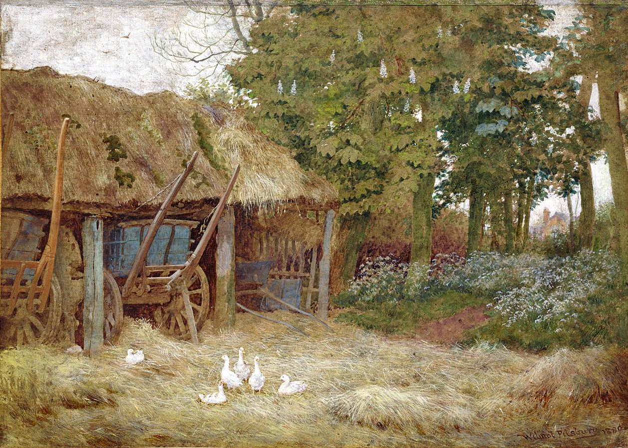 アヒル、1880（紙にボディカラー付きのトイレ） 作： ウィルモット・ピルズベリー