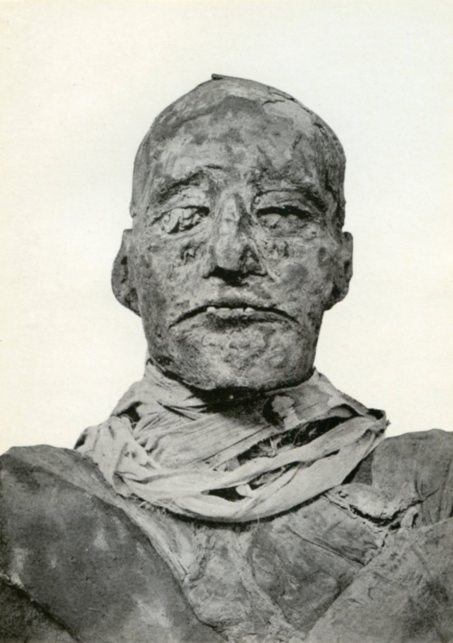 ラメセス3世のミイラの頭、第20王朝の古代エジプトのファラオ、紀元前1156年、紀元前1926年 作： ウィニフレッド・メイベル・ブラントン