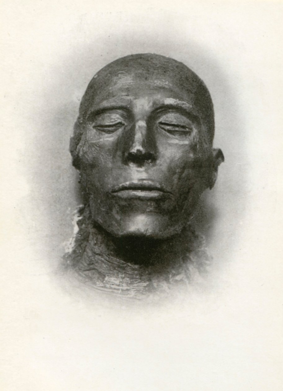 第19王朝の古代エジプトのファラオ、セティ1世のミイラの頭、紀元前1279年、紀元前1926年。 作： ウィニフレッド・メイベル・ブラントン