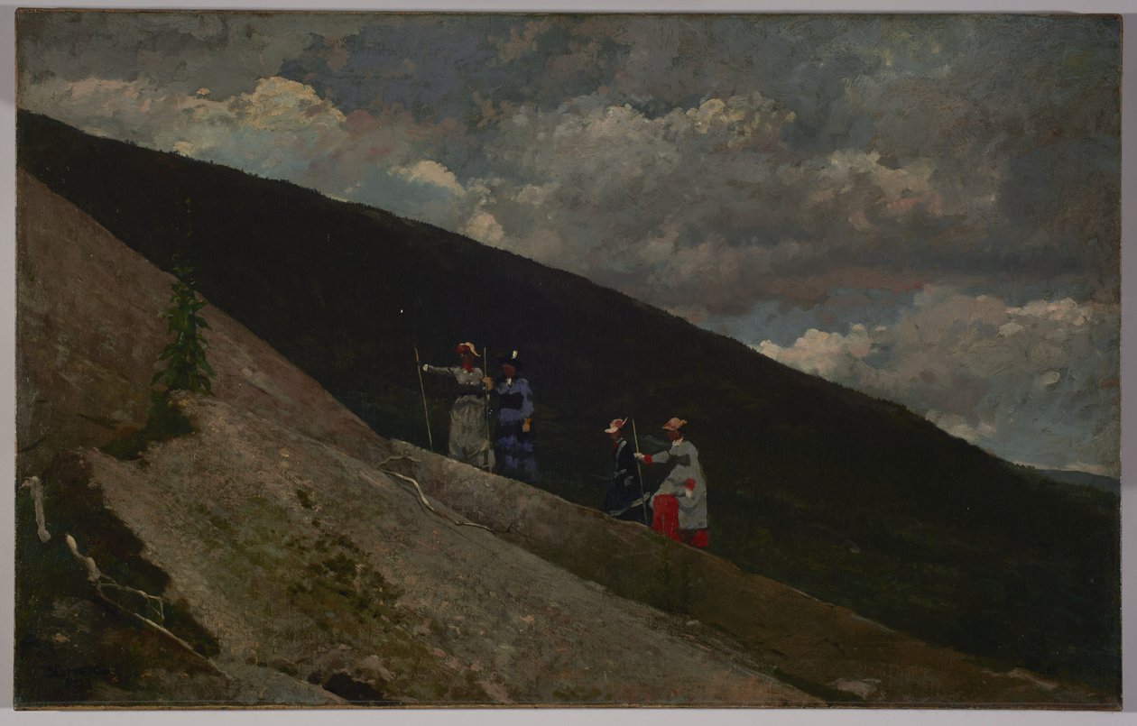 山の中、1877 作： ウィンスロー・ホーマー