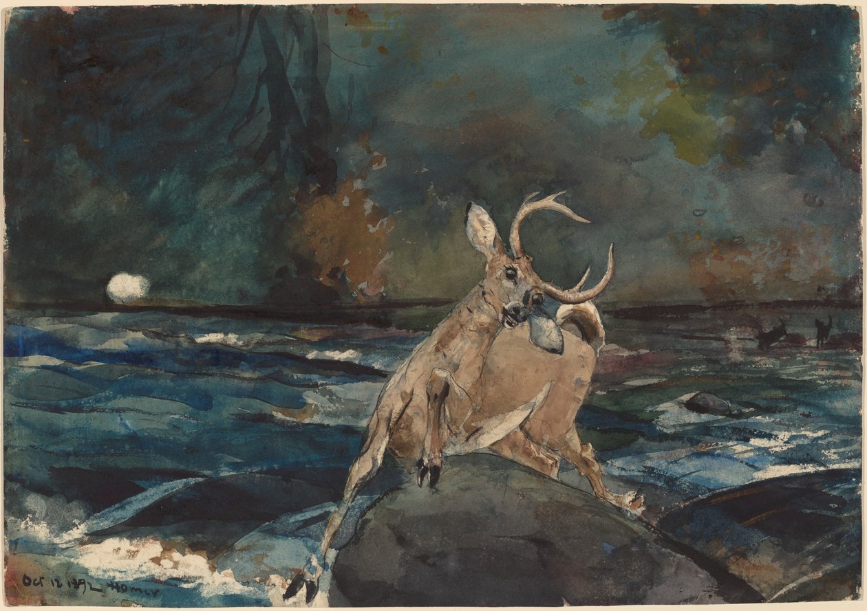 A Good Shot, Adirondacks, 1892. 作： ウィンスロー・ホーマー