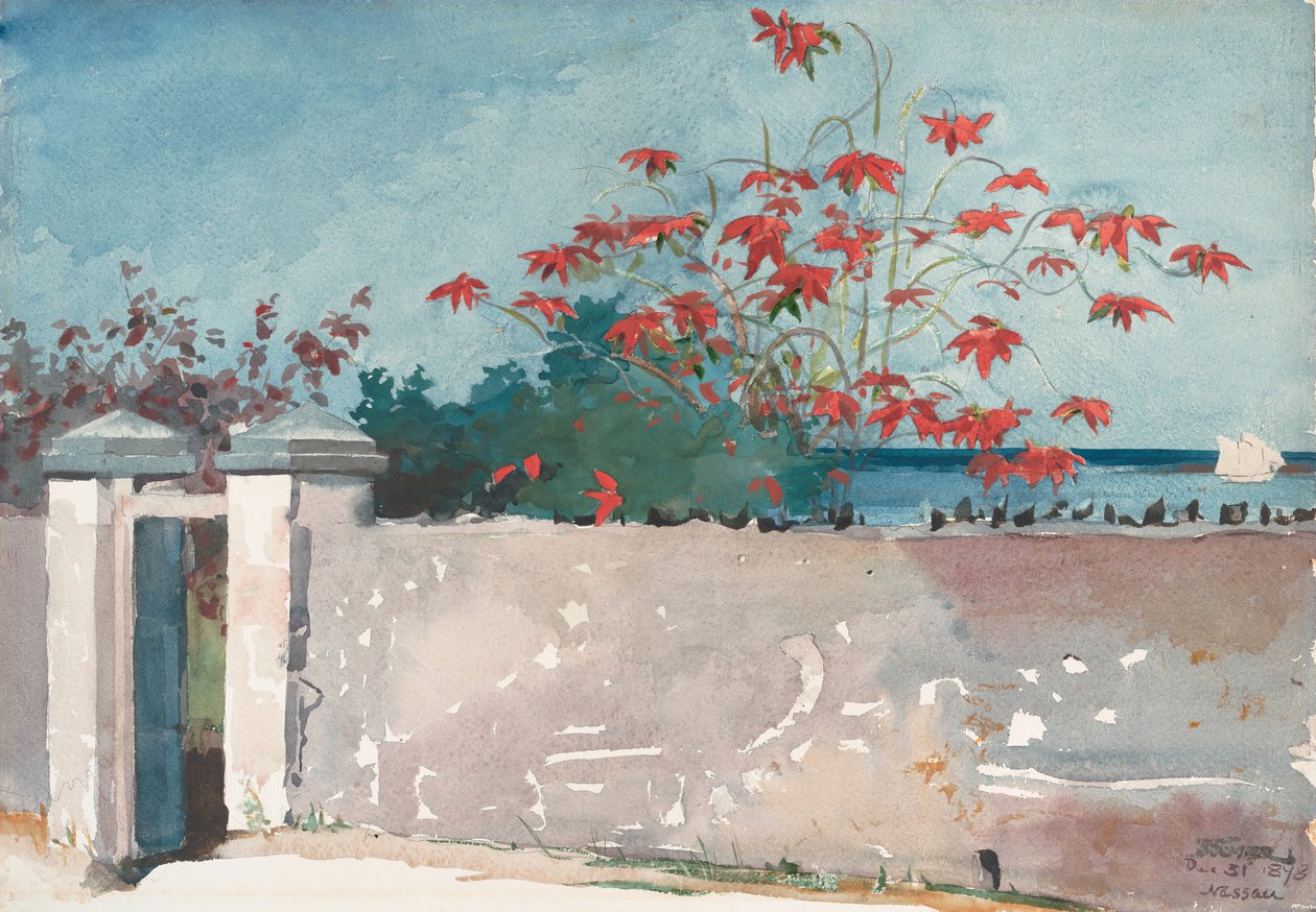 A Wall, Nassau, 1898年。 作： ウィンスロー・ホーマー