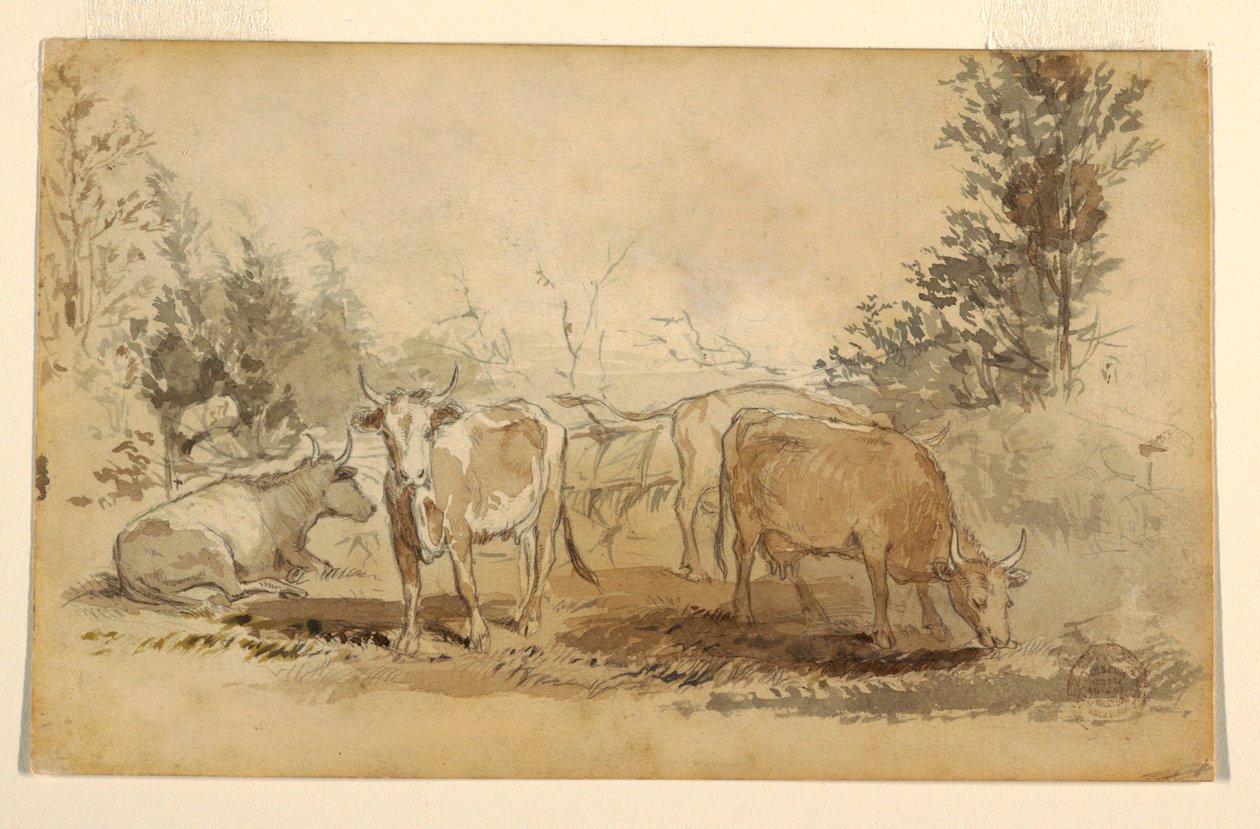 デッサン、牧草地で草を食む4頭の牛、1855-60年頃 作： ウィンスロー・ホーマー