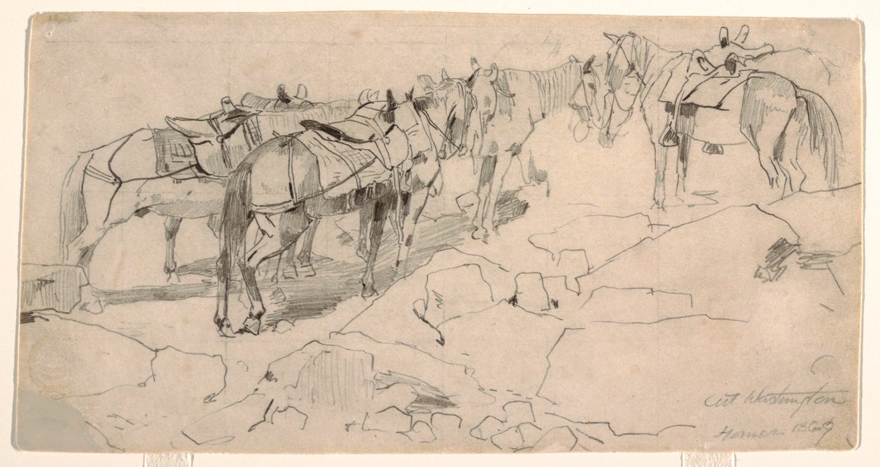 素描、「ワシントン山」と「ワシントン山頂」のための習作、1869年 作： ウィンスロー・ホーマー