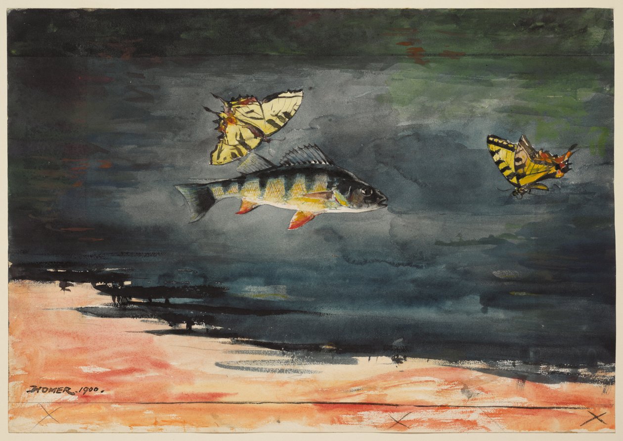 魚と蝶 作： ウィンスロー・ホーマー