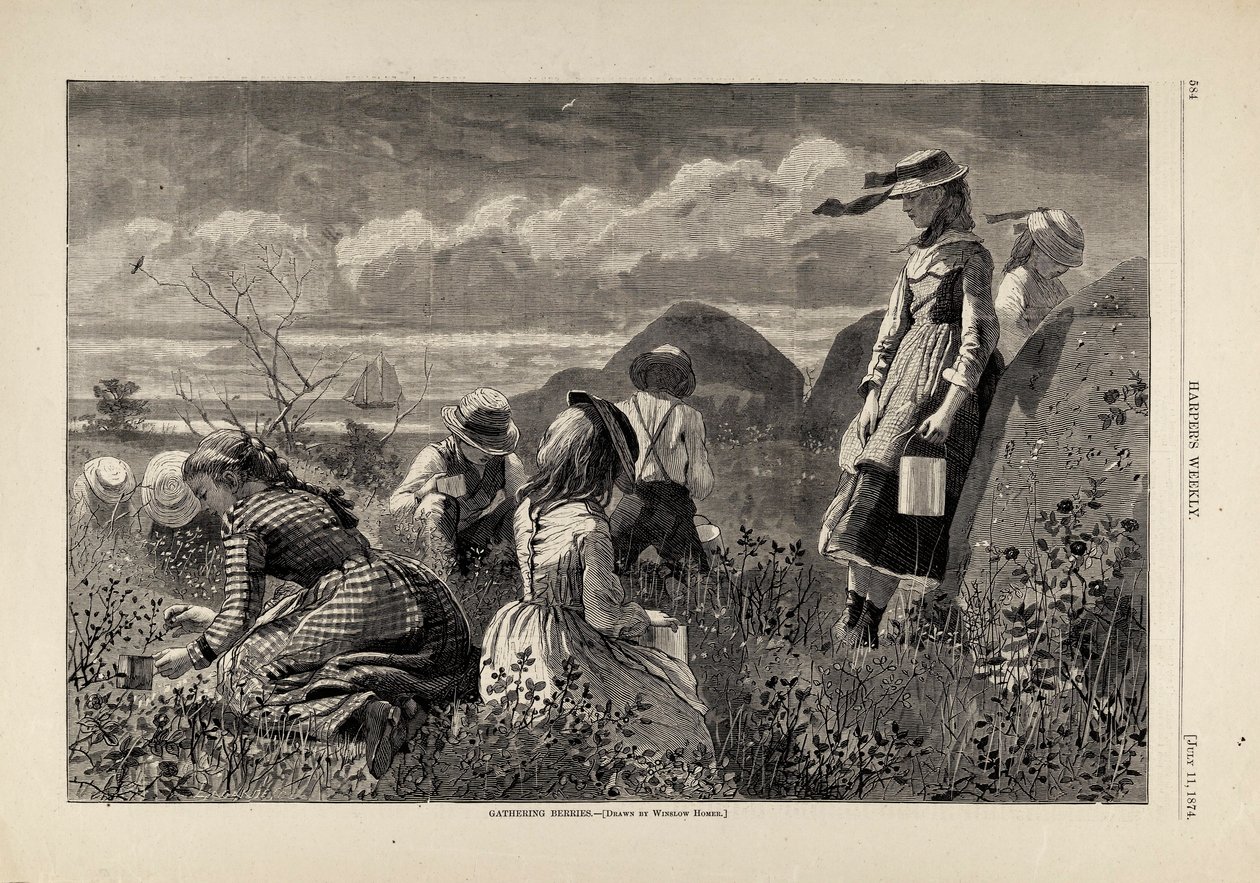 ベリー摘み（1874年7月11日号『Harper