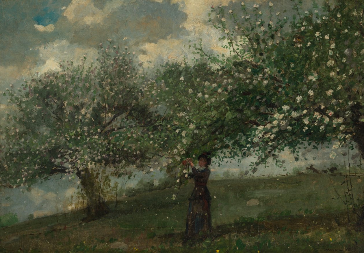 リンゴの花を摘む少女 1879年 作： ウィンスロー・ホーマー