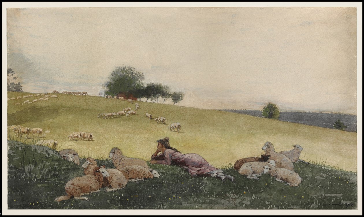 ホートンファームの羊飼い、1878 作： ウィンスロー・ホーマー