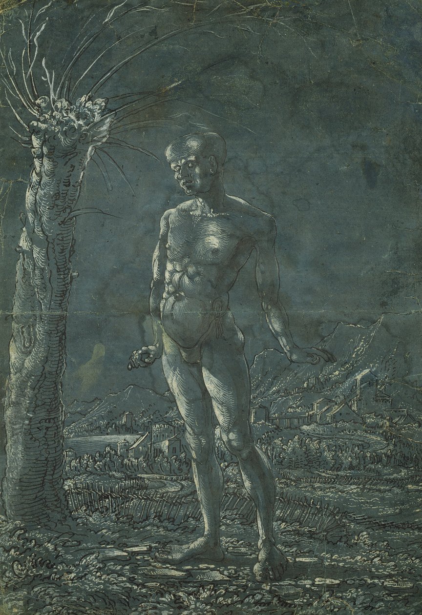 風景の中で立っている裸の男、c.1512（紙に白のハイライトが付いたペンと黒のインク） 作： ウルフ・フーバー
