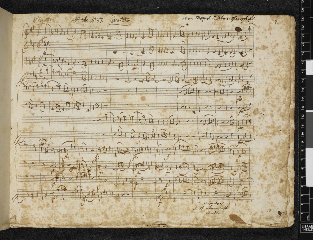 MS 37764 f.1 弦楽四重奏曲ニ長調 K. 499 を追加 作： ヴォルフガング・アマデウス・モーツァルト