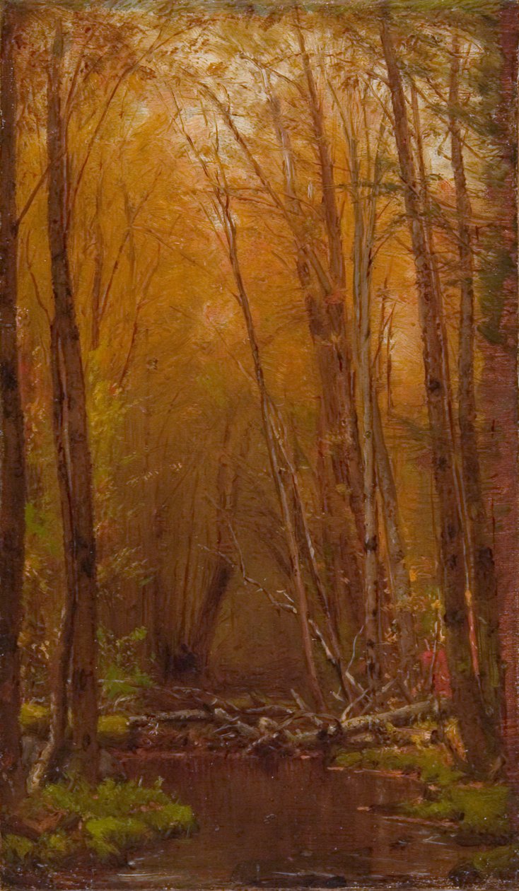 The Birches of the Catskills, ca. 1875. 作： ワーシントン・ウィットリッジ