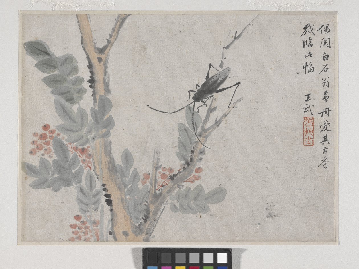 蟲と木 沈周後（紙に墨と彩色） 作： 武王