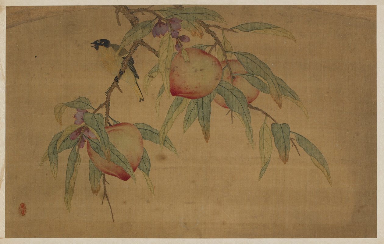 鳥、果物、花 作： 呉張