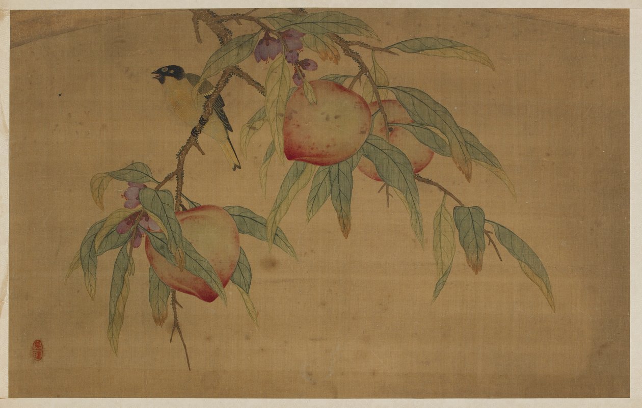 鳥・果実・花図 清時代・1741年 作： 呉張