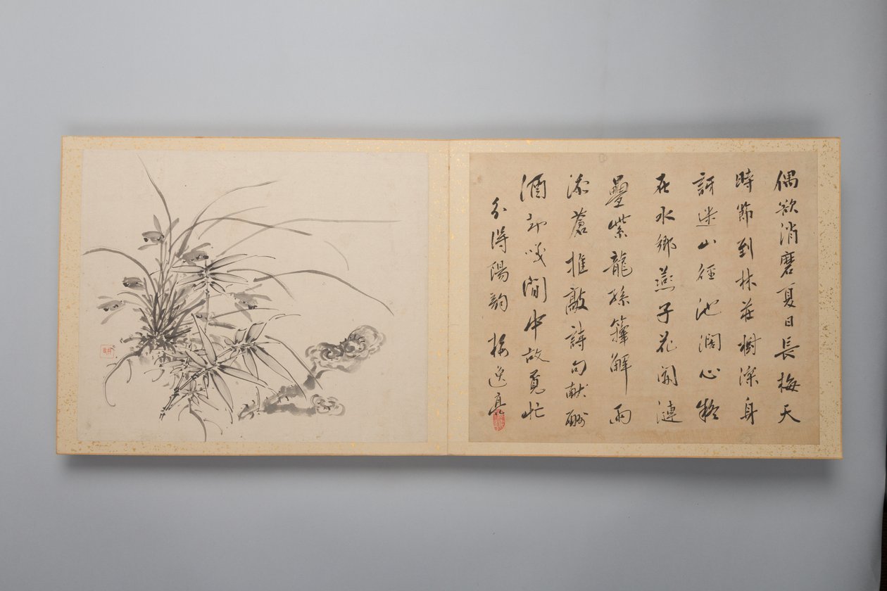 四季折々の洗練されたエレガンス 花鳥諷詠帖」（1844年 作： 山本バイイツ