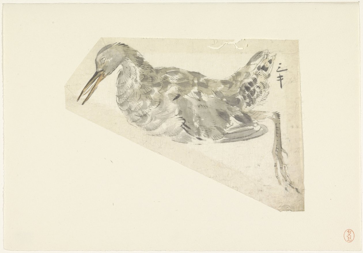 死んだ水鳥 作： 山本新菱冷熱