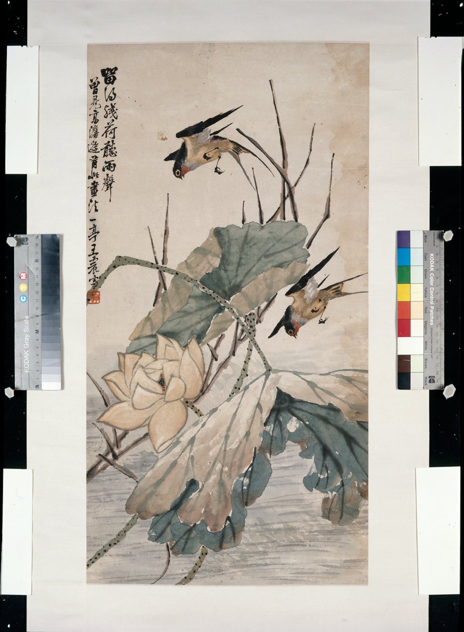 蓮が枯れた後に雨を聞く 作： Yiting Wang