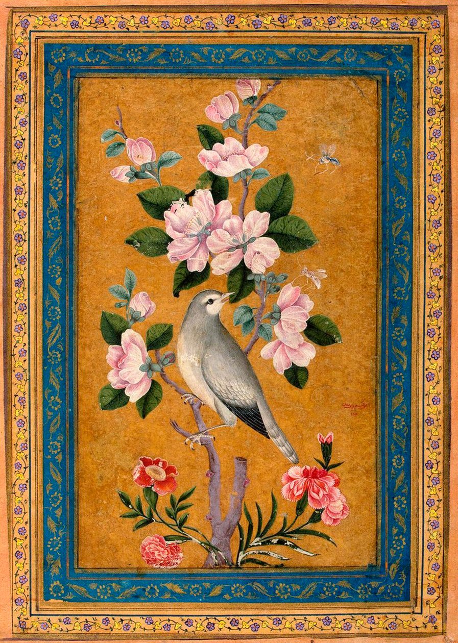 開花枝にとまる鳥、1696年。 作： ユスフ・ザマン