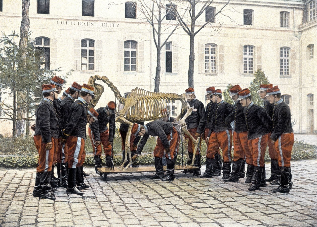 サン・サーの特別軍事学校 作： フランス語学校
