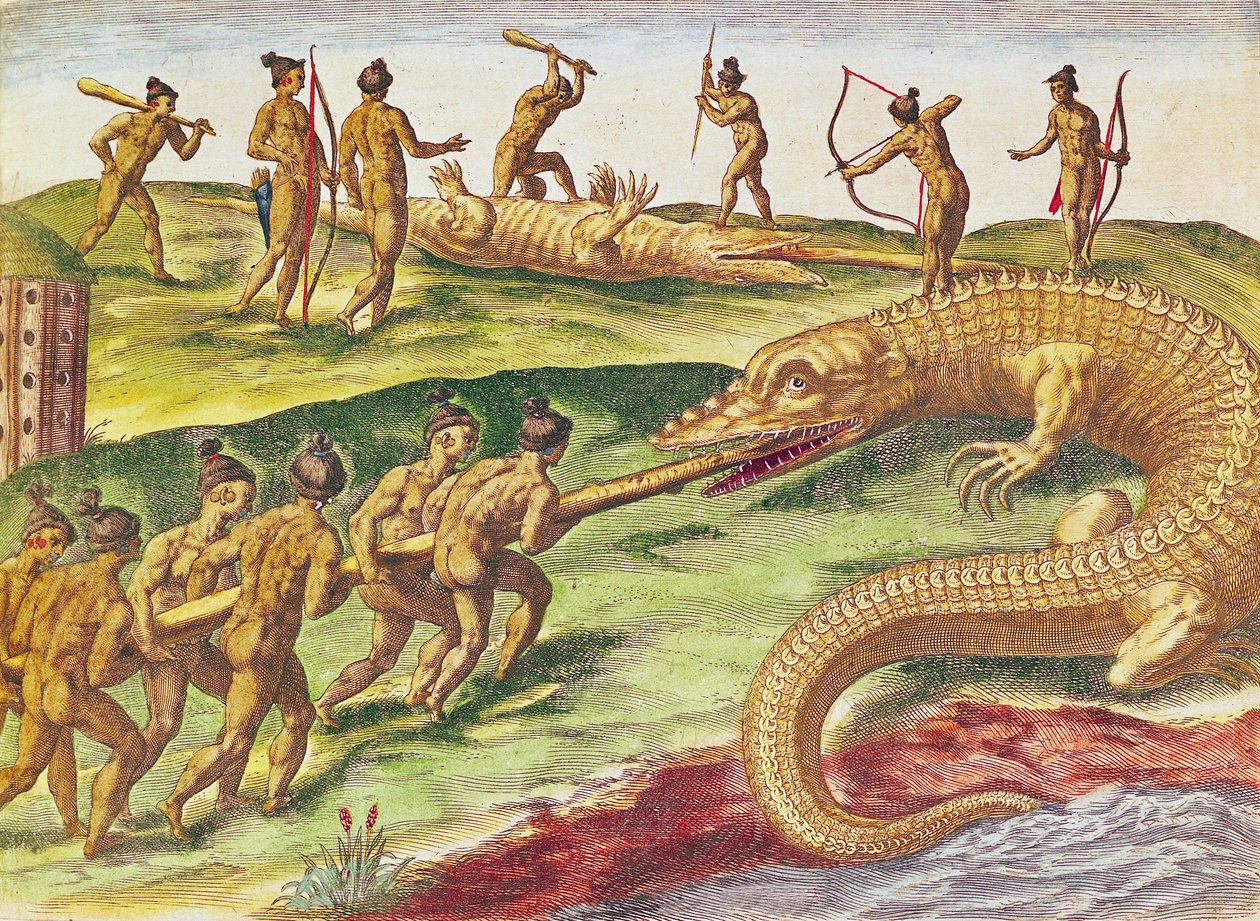 狩猟ワニ、「ブレビスナラティオ...」、セオドアドブライ発行、1591年（カラー彫刻） 作： Le Moyne、J.Bryの後