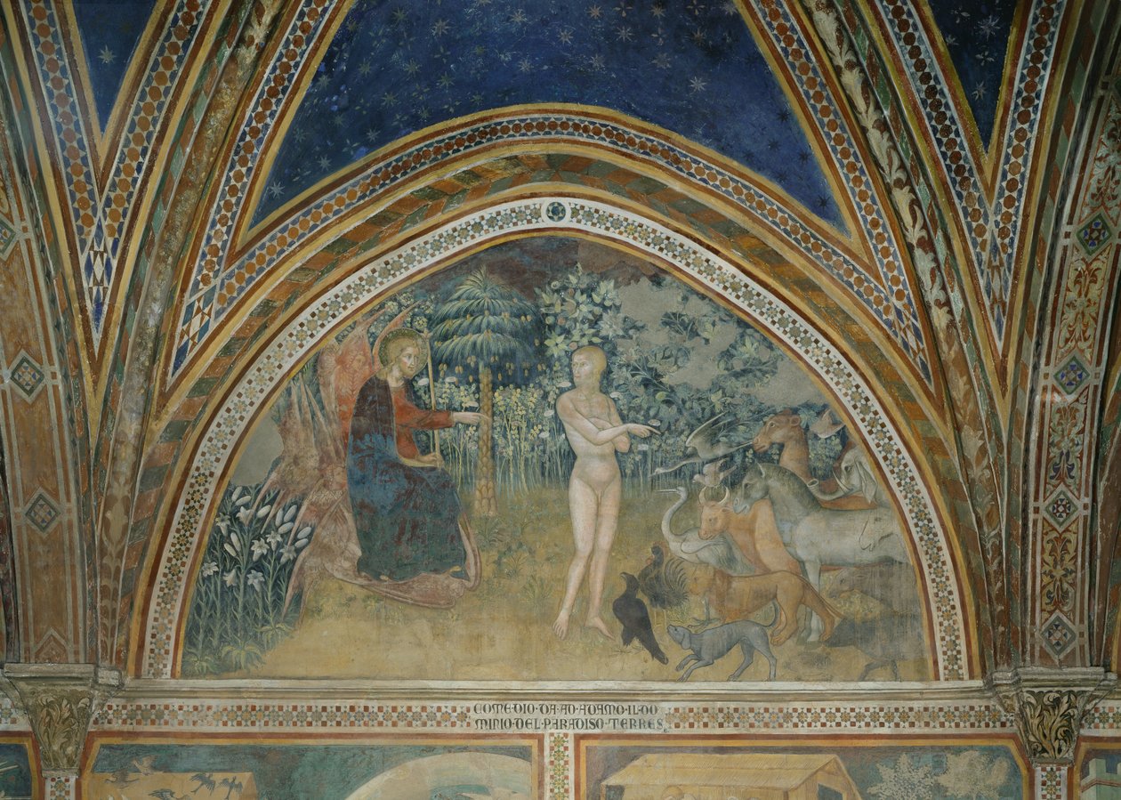 動物の創造 作： So Manfredi de Battilori Bartolo di Fredi