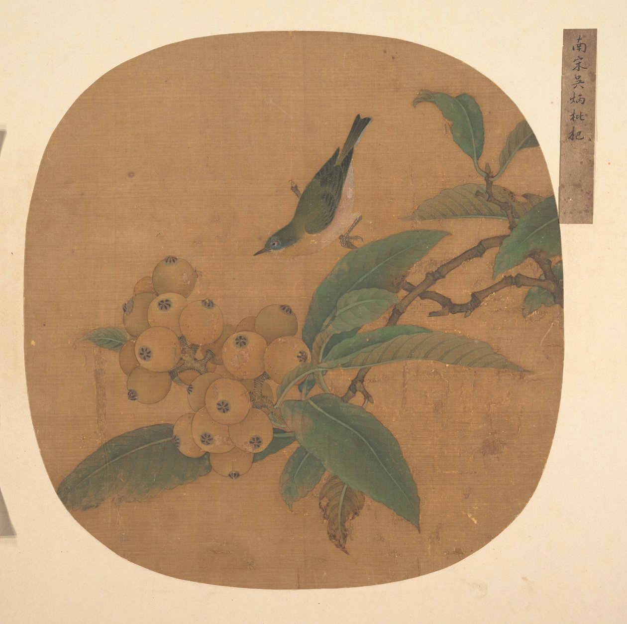 ビワの木の上の鳥 作： 匿名