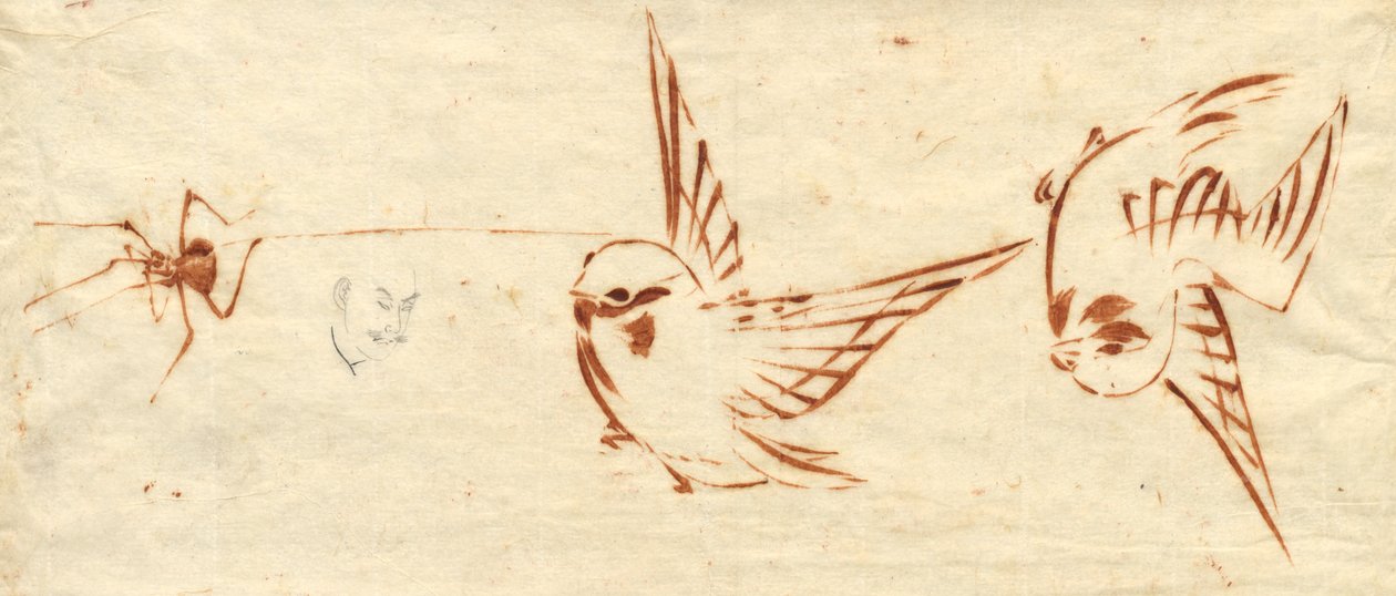 鳥とクモのスケッチ ページ 作： 葛飾北斎による