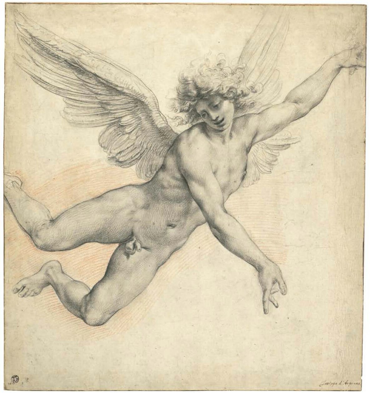 飛翔する天使 作： Cavaliere d'Arpino GiuseppeCesariと呼ばれます