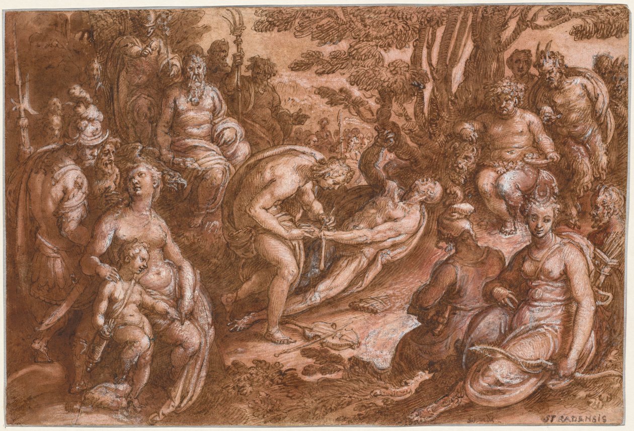 マルシアスの皮剥ぎ」 1570-1605年頃 作： Johannes Stradanus Jan van derStraetと呼ばれます