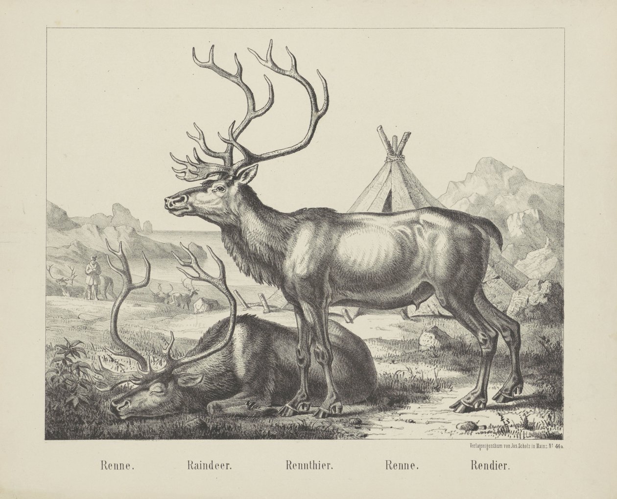 Renne. / Raindeer. / Rennthier. / Renne. / rendier (title on object)   1366027   ja       japanese Successfully Translated  Original: Battle at Yixier Kuernaoer: from Battle Scenes of the Quelling of Rebellions in the Western Regions, with Imperial Poems T 作： 会社ジョセフ・ショルツ