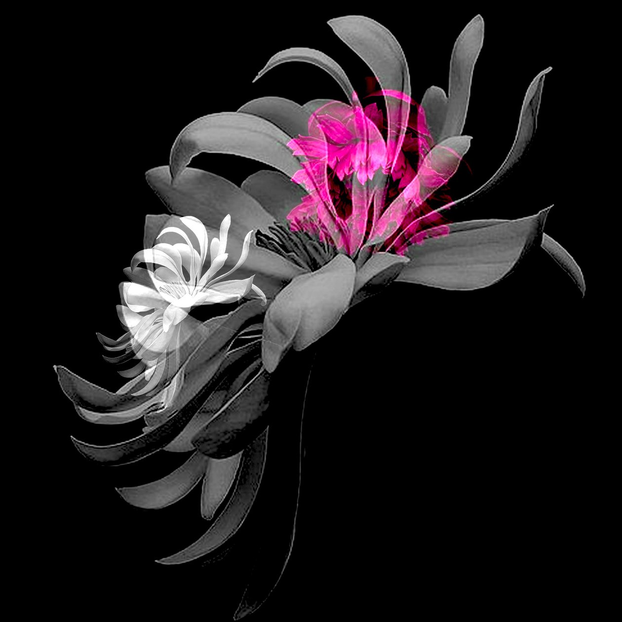 SPRING FLOWER COLLAGE, 2018（ミクストメディア） 作： リンダ・アーサー